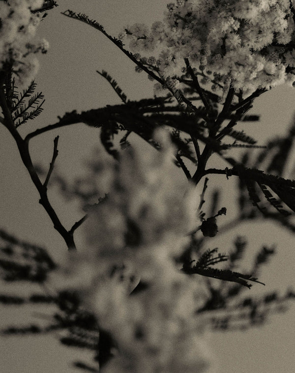 Ingredient Philosophy